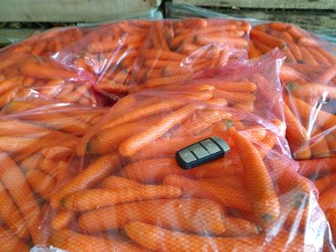 Carrots