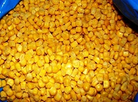 Frozen sweet corn