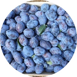 Plums_Serbia