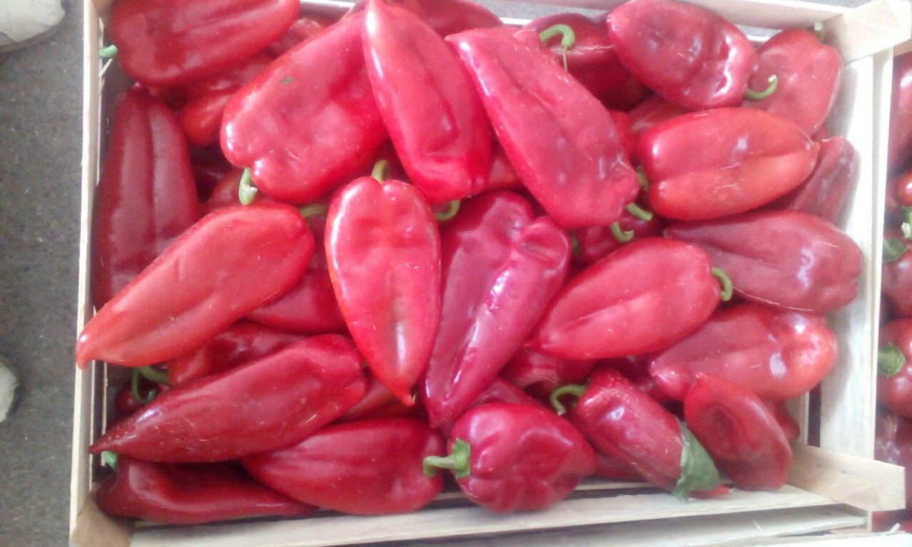 Red pepper