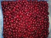 Frozen Sour Cherry sort Oblacinska from Serbia