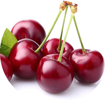 Sourcherries_Serbia