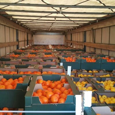 Loading Oranges