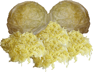 Sauerkraut Futoski Serbia